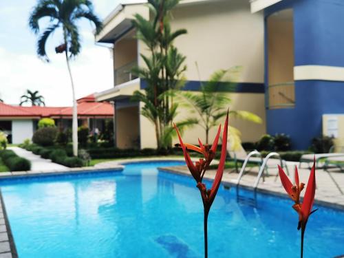 La Fortuna Hôtel | Hotel Monte Real