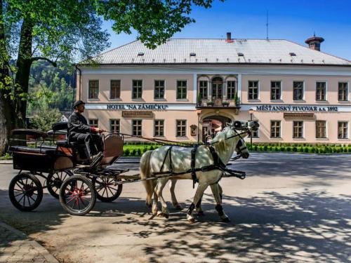 Usti nad Orlici Hôtel | Hotel Na Zámečku