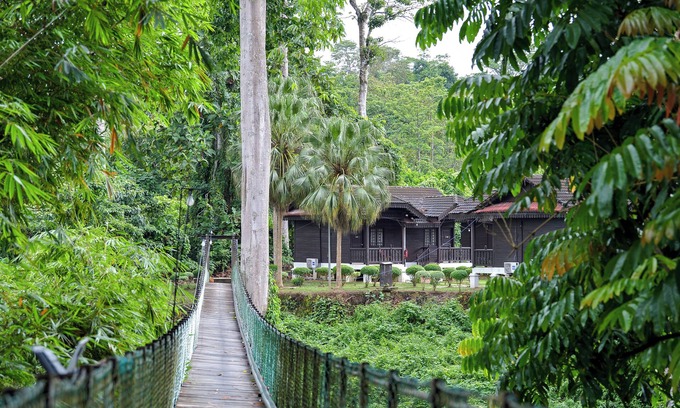 Kuala Tahan Hôtel | Hotel O Asiacamp Resort National Park Kuala Tahan