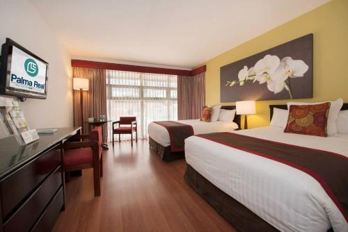 Mata Redonda Hôtel | Hotel Palma Real
