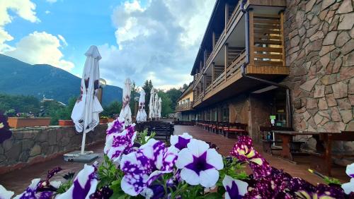 Panichishte Hôtel | Hotel Panorama