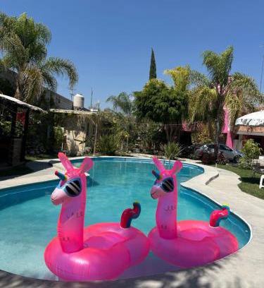 Tehuacan Hôtel | Hotel Pink TH