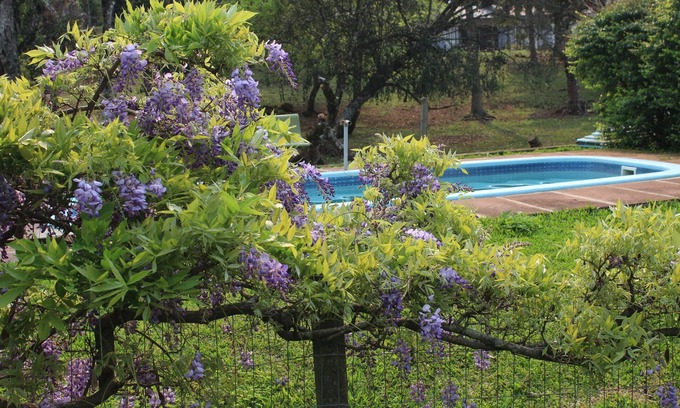 Nova Petropolis Hôtel | Hotel Pousada dos Plátanos