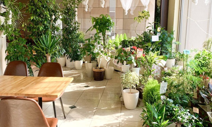 Kitami Hôtel | Hotel Royal Kitami