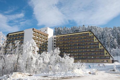 Lubovnianske Kupele Hôtel | Hotel SOREA ĽUBOVŇA