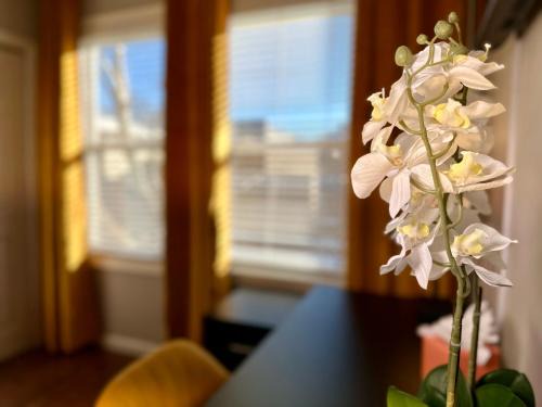 McGinley Square Maison | Hotel-Style, No Host, Professionally Managed ID267