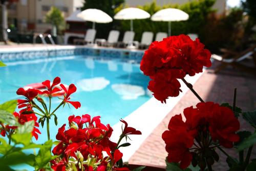 Dio-Olympos Hôtel | Hotel Villa Drosos