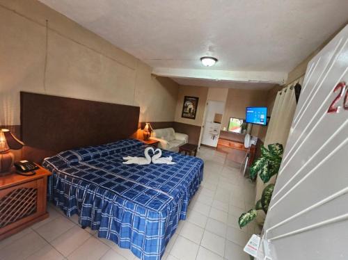 Tangancicuaro de Arista Hôtel | Hotel y Cabañas Manolo