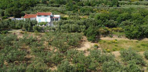 Hrvatini Appartement | House among olive trees with a sea view 3