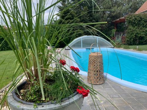 Markkleeberg Maison | House Apartment am See