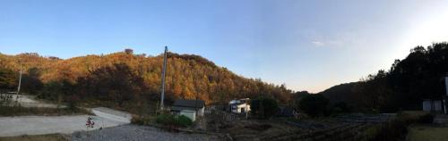 Cheongju Villa | House in the forest