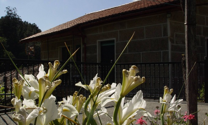 Nogueira de Ramuin Cottage | Maison à Viñoas - Ribeira Sacra (Ourense)
