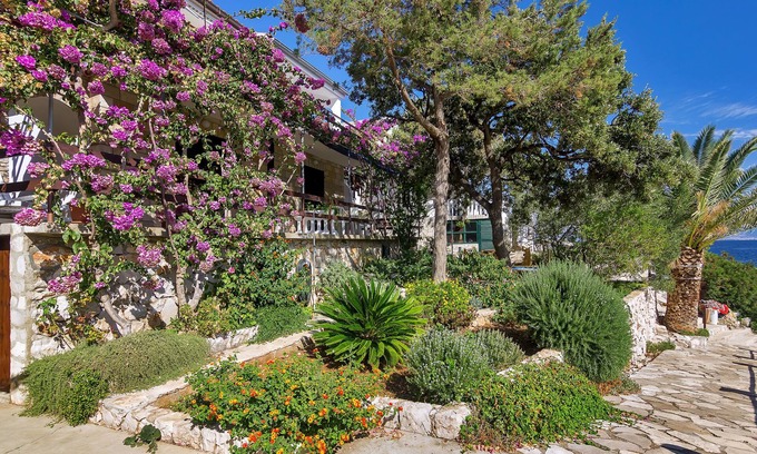 Pokrivenik Maison | Maison Sea rose (57941-K1) - Zastrazisce - île de Hvar