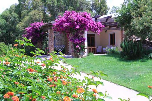 Teulada Maison | House Suestellas
