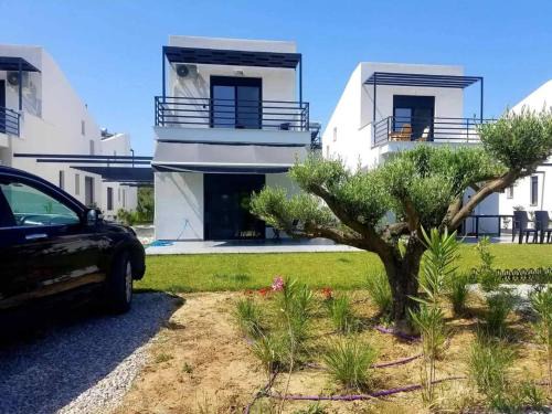 Pangaio Maison | House Viki