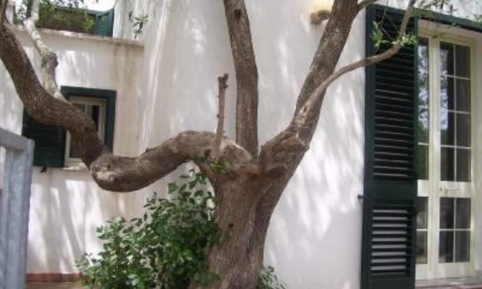 Marina di Andrano Maison | maison / villa - 10 pièces - 16/20 personnes