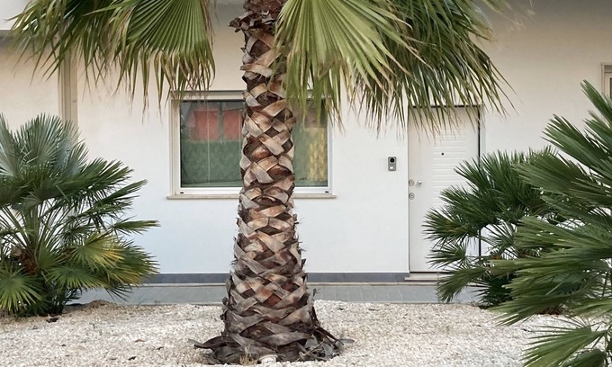 Leonforte Appartement | House with pleasant panorama