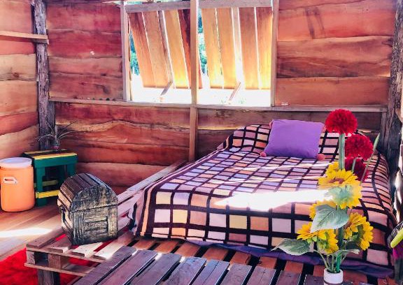 Zanderij Maison | Houses of Reggae on Land of Promise