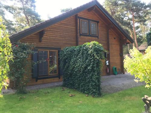 Langstraat Maison | Houten chalet/bungalow in het bos, sauna, jacuzzi