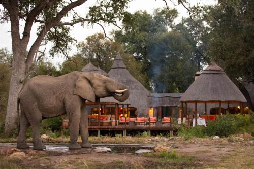 Kruger National Park Cabine | Hoyo Hoyo Safari Lodge