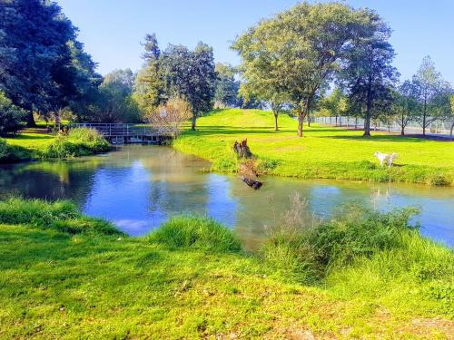 Dafna Appartement | Huge & Private Villa In Kibbutz Dafna