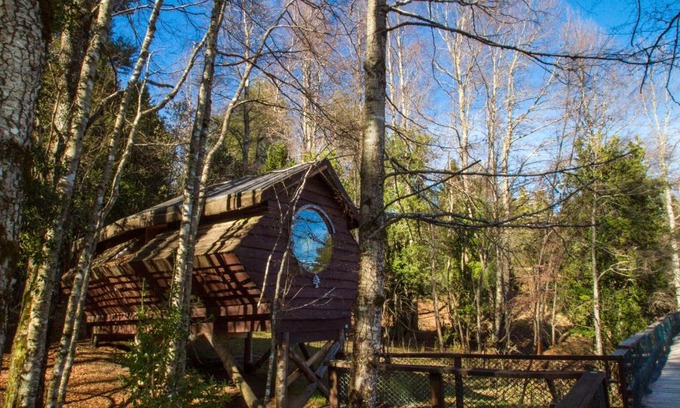 Neltume Cabine | Huilo Huilo Canopy Village