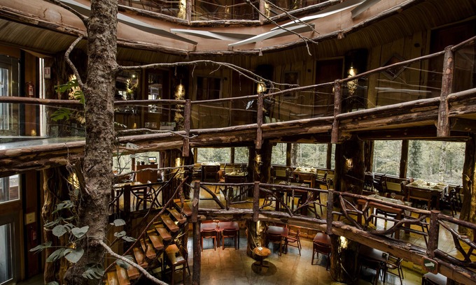 Neltume Hôtel | Huilo Huilo Nothofagus Hotel & Spa