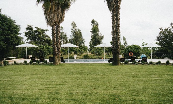 Palmela Maison | Humus Farm