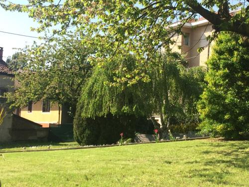 Moncalieri Appartement | I Ciliegi