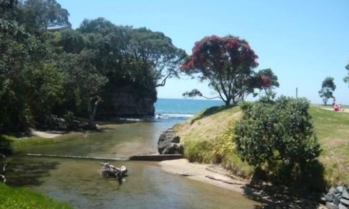 Red Beach Cabine | Iconic Kiwi Bach with sea views and a 2 minute walk to the beach.