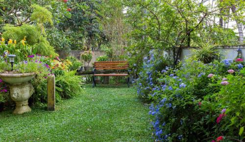 Sri Jayawardenepura Kotte Appartement | Idor Holidays
