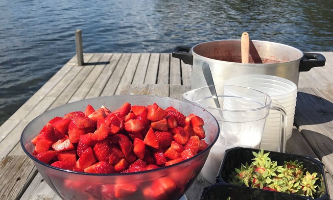 Hamar Municipality Cabine | Idyllic Summer Resort on the Waterfront at the Lake. Rowing Boat and Evening sun