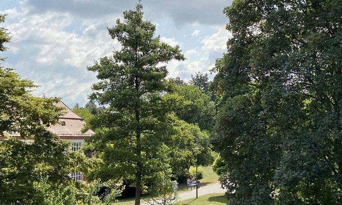 Bad Mingolsheim Appartement | Idyllic vacation apartment by the spa gardens, view of the countryside, 1st floor, 98sqm, 5 people