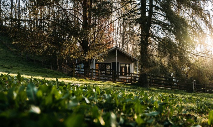 Dollar Cabine | Idyllic wooden cabin 45 minutes away from Edinburgh & Glasgow