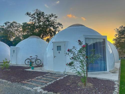 Barra de Navidad Appartement | Iglú Barba Roja con vista al cielo