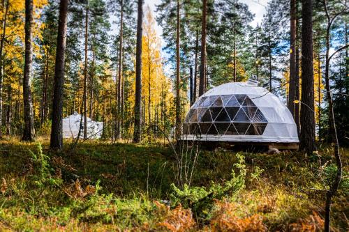 Imatra Autre | Igloo Glamping LakeLand Camp