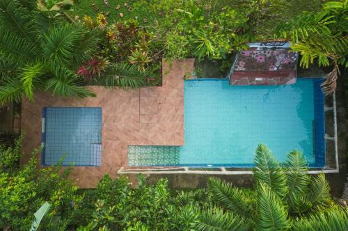 Boca Tapada Lit Et Petit-Déjeuner | Iguanitas Lodge