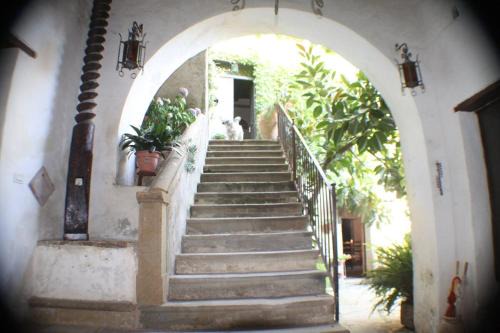 Ogliastro Cilento Appartement | Il frantoio