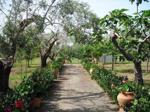 Acquedolci Maison | Il Giardino sul Mare