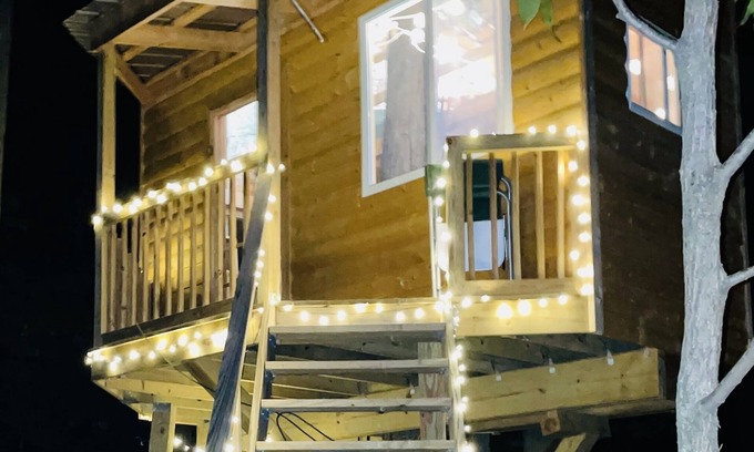 Brooklyn Cabine | Immerse yourself with nature at this unique living tree-treehouse!