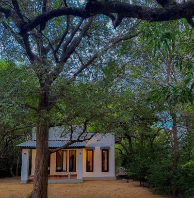 Polonnaruwa Station Balnéaire | In the Wild by RoamCeylon
