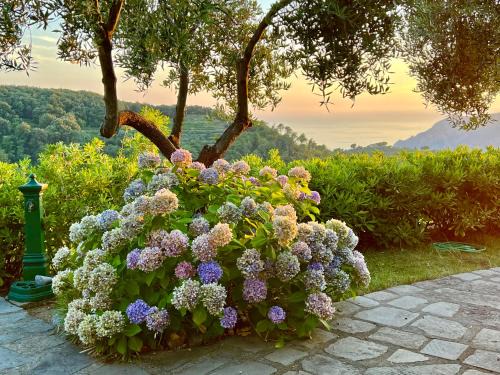 Vernazza Appartement | Incanto