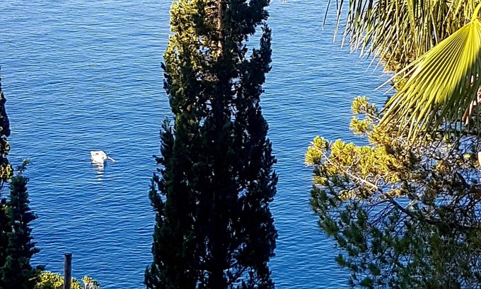 Bocale Villa | Villa indépendante avec vue sur la mer