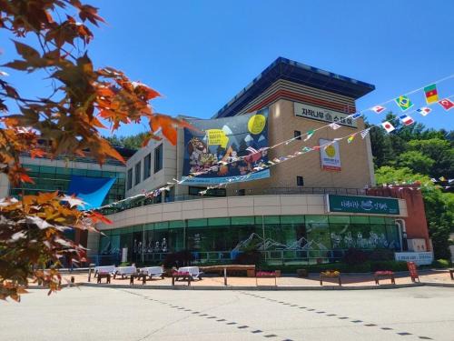 Inje Maison | Inje Jajaknamu Stay