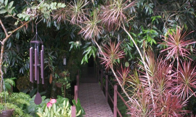 Aguas Zarcas Maison | Inlakech: tropical, magique et charme