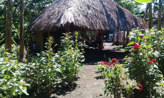 Ometepe Island Hôtel | Inn Hospedaje BullShark