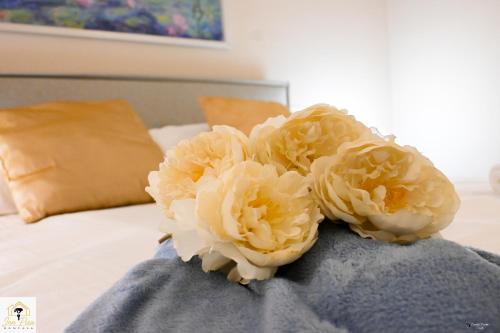 Pisa City Centre Appartement | Inn Pisa Rentals - Pisa Tower Flat