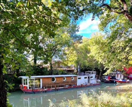 Gardouch Location De Bateaux | Insolite Péniche Amazonie canal du midi