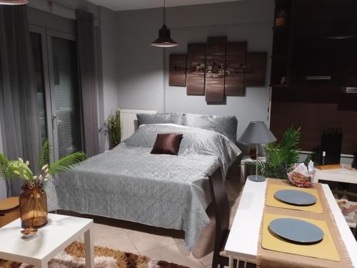 Ioannina Appartement | Ioannina City Studios 1