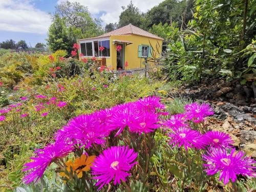 Brena Baja Appartement | Iraña del bosque